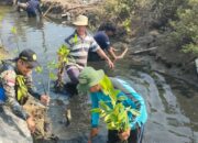 Kolaborasi Hijau: PMT dan Mahasiswa IPB Tanam 1.500 Mangrove di Sungai Lamaran Tegal