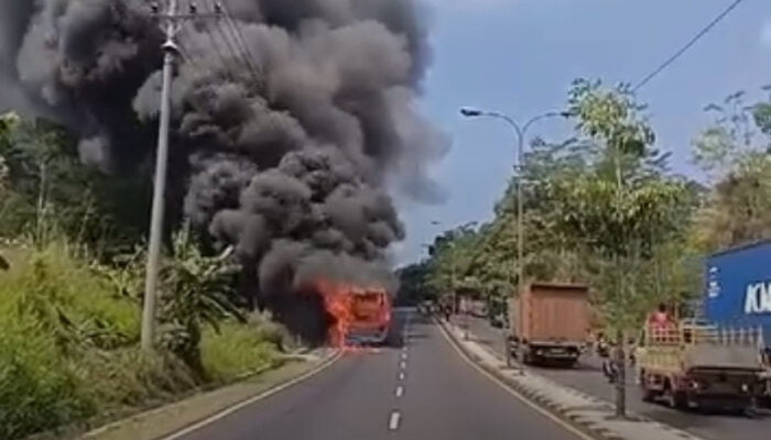 Bus Pariwisata BlueStar Terbakar di Salatiga, Kerugian Rp 500 Juta