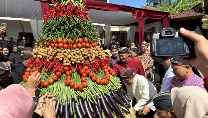 Semarak Budaya Wonosobo: Lestarikan Tradisi di Hari Jadi