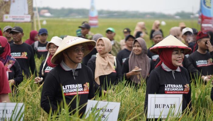 OJK Jateng Dorong Akses Pembiayaan untuk Pertanian Berkelanjutan di Grobogan