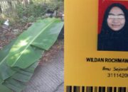 Tragis! Mahasiswi Unnes Semarang Meregang Nyawa di Jalan Jelang Wisuda
