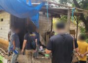 Operasi Macan Kumbang Muria: Gagalkan Peredaran Rokok Ilegal di Jepara