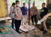 Heboh! Pria Semarang Makan Daging Kucing untuk Obati Diabetes