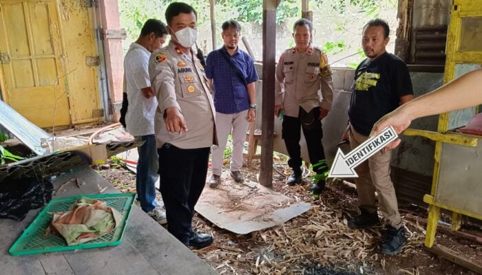 Heboh! Pria Semarang Makan Daging Kucing untuk Obati Diabetes