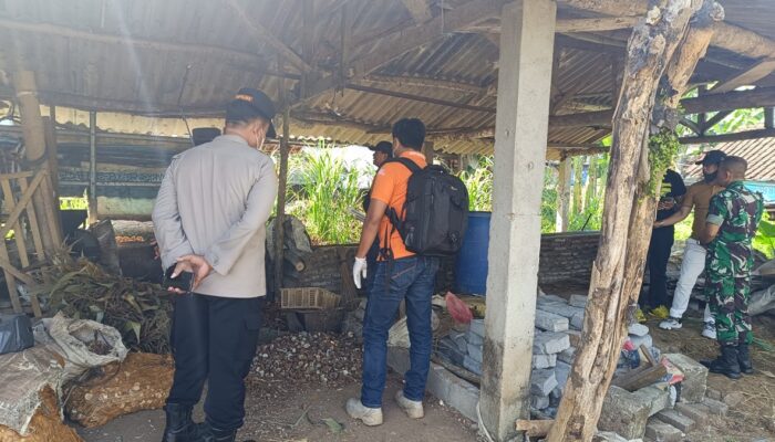 Polisi Selidiki Kematian Misterius 5 Sapi di Semarang, Dugaan Keracunan Muncul