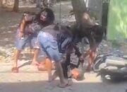 Viral Video 60 Detik Penangkapan Pengedar Narkoba di Blora