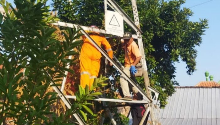 Viral Lansia Tewas di Tower Sutet, Diduga Karena Ditinggal Anak