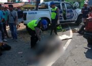 Kronologi Bus Terobos Lampu Merah, Nyawa Sopir Pikap Melayang di JLS Pati