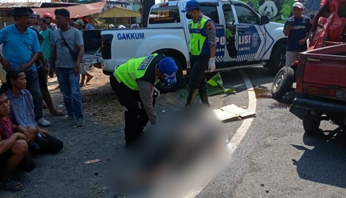 Kronologi Bus Terobos Lampu Merah, Nyawa Sopir Pikap Melayang di JLS Pati