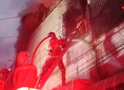 Dipicu Kemarau, 60 Kebakaran Terjadi di Semarang, BPBD Siaga!