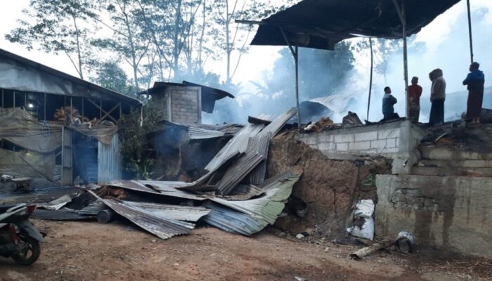 Kebakaran Hebat Landa 2 Kandang Ayam di Semarang, Ribuan Ayam Terpanggang
