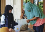 Sekam Padi dan Daun Jati Jadi Emas: Mahasiswa KKN UNDIP Ciptakan Pupuk Organik Ramah Lingkungan