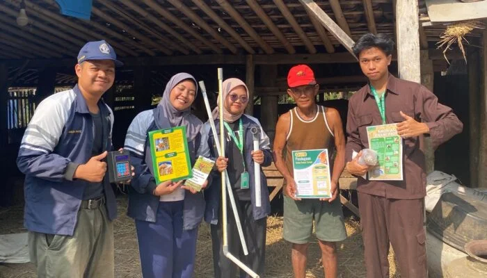 KKN Undip: Tanpa Timbangan Mahal, Peternak Desa Jagoan Bisa Akurat Taksir Bobot Sapi
