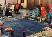 KKN Undip: Kangkung Hidroponik dan Lele Tumbuh Subur di “Ember Ajaib” Desa Bendosari
