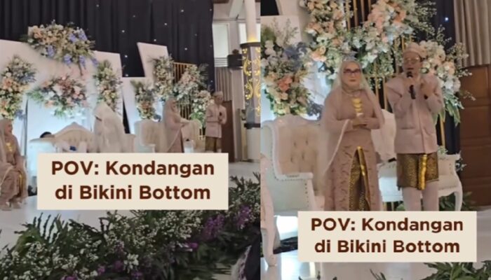 Viral Pernikahan Anak Dubber Squidward: Serasa di Bikini Bottom!