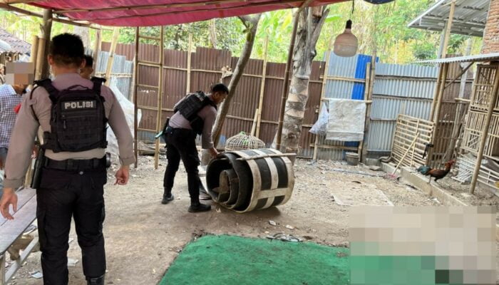Polres Tegal Berhasil Bongkar Praktik Sabung Ayam di Pagerbarang