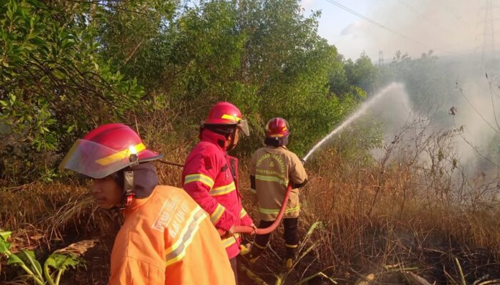 3 Jam Melawan Api: Kebakaran Hutan Jati di Cilacap Diduga Akibat Faktor Alam