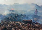 100 Ton Limbah Kayu Hangus dalam Kebakaran Pabrik di Cilacap