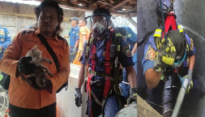 Aksi Heroik TRC Blora: Selamatkan Kucing yang Terjebak di Sumur 15 Meter