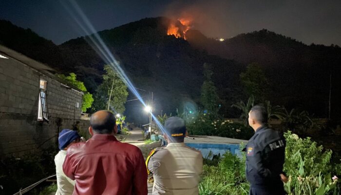 Hutan Gunung Telomoyo Terbakar, Polisi dan BPBD Lakukan Penyelidikan Lanjutan