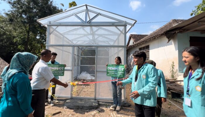 KKN UNS Bangun Green House di Boyolali, Dorong Pertanian Berkelanjutan Bersama Dunia Usaha