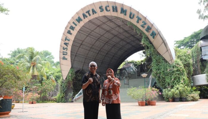 Semarang Zoo Hadirkan Satwa Baru: Sitatunga dan Pelikan dari Ragunan!