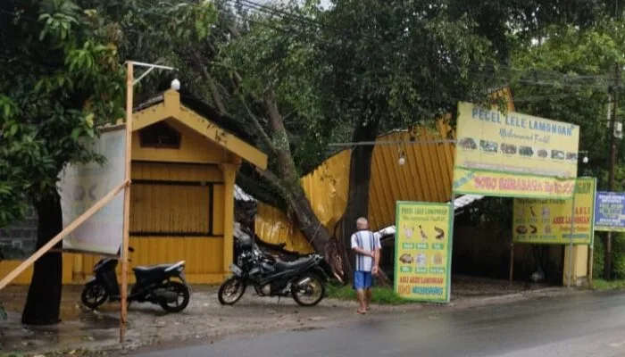 Kisah Pedagang Mie Ayam Lolos dari Musibah Pohon Tumbang di Banyumas