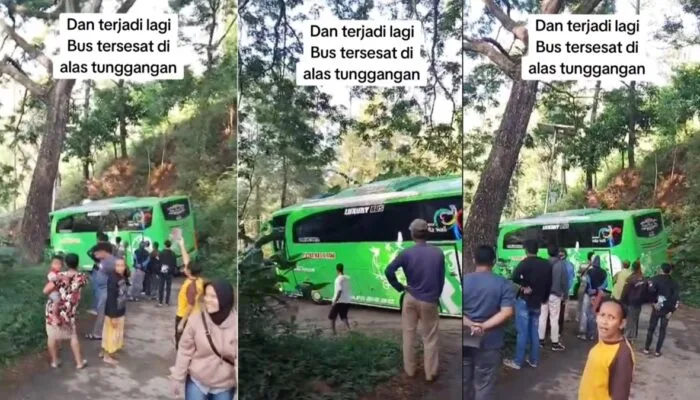 Kisah Bus Pariwisata Tersesat di Hutan Wonogiri Berulang, Netizen: Nostalgia Insiden 2019